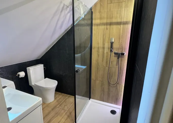 Karkonoskie Historie 別荘